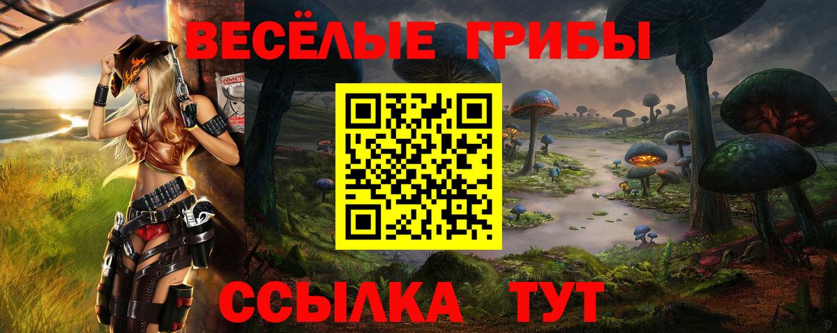 Кольчугино  Псилоцибиновые грибы Magic Shrooms  Вход с VPN  Псилоцибиновые грибы ЛСД 