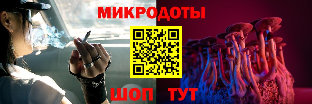 Псилоцибиновые грибы прущие грибы Кольчугино